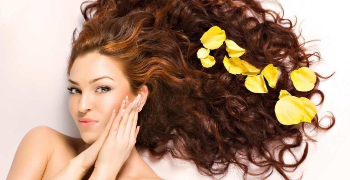 Maschere per capelli secchi fai da te - Maschera per capelli secchi fatta in casa Maschere per capelli secchi fai da te - Maschera per capelli secchi fatta in casa