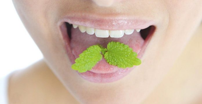 Alito cattivo e pesante rimedi naturali contro l'alitosi Alito cattivo e pesante rimedi naturali contro l'alitosi