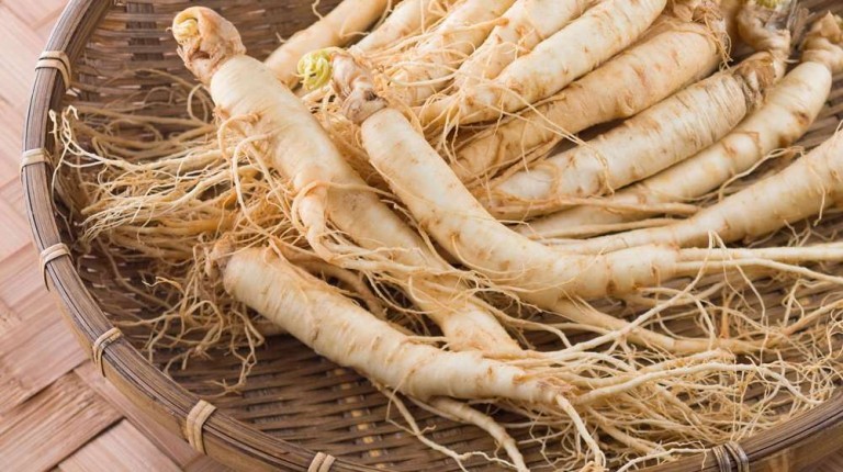 Ginseng: proprietà, benefici, usi e controindicazioni. Il ginseng è utilizzato per i suoi effetti antinfiammatori ed antiossidanti, per aumentare le difese immunitarie, potenziare le funzioni cerebrali e la memoria, combattere la stanchezza e migliorare i sintomi della disfunzione erettile. Scopri le proprietà del ginseng, i benefici per la salute, gli usi, le controindicazioni e gli effetti collaterali.