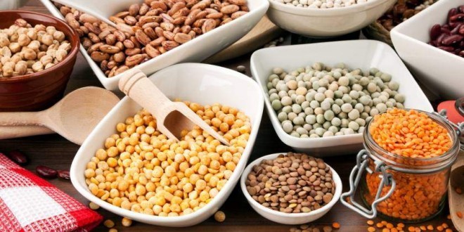 Proteine vegetali proprietà, benefici dove si trovano e gli alimenti più ricchi di proteine vegetali