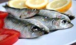 Pesce azzurro: benefici per la salute e proprietà nutrizionali