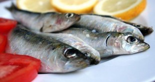 pesce azzurro elenco tipi benefici per la salute