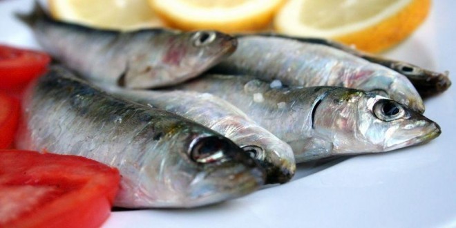 pesce azzurro elenco tipi benefici per la salute