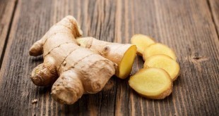 Zenzero: proprietà, benefici e controindicazioni. Scopri le proprietà dello zenzero per dimagrire, le ricette per fare la tisana e lo zenzero candito, i rimedi naturali contro diversi disturbi, le controindicazioni e gli effetti collaterali dovuti ad un consumo eccessivo.