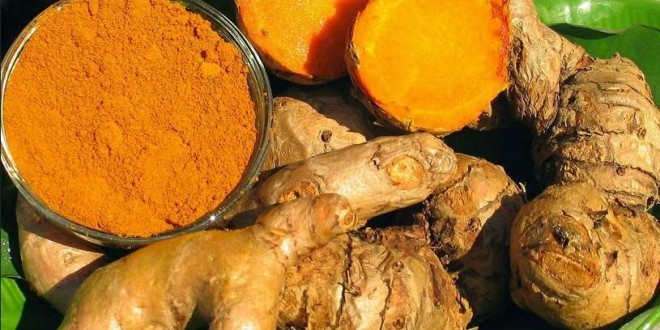 Curcuma Proprietà Benefici Dove Si Compra E Controindicazioni