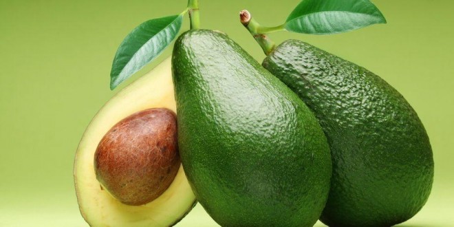 benefici della buccia di avocado per la perdita di peso benefici della buccia di avocado per la perdita di peso