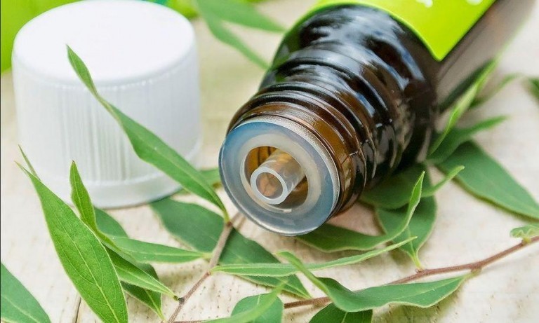 Tea Tree Oil: proprietà, benefici, utilizzi e controindicazioni