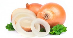 Cipolla - Proprietà e Benefici. Scopri le proprietà curative e terapeutiche delle cipolle, i benefici per la salute, i valori nutrizionali, le calorie per 100 grammi, gli usi in cucina e per la salute, le controindicazioni e gli effetti collaterali della cipolla.