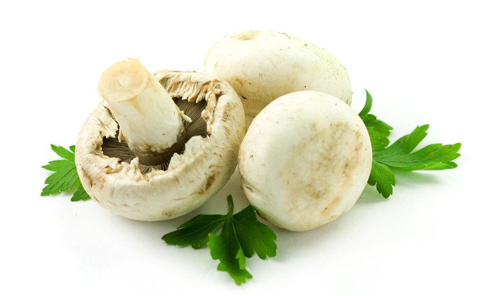 Come cucinare i funghi - Ricette con i funghi facili e veloci