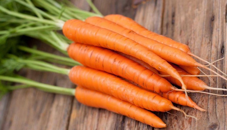 Come cucinare le carote - Ricette con carote facili e veloci