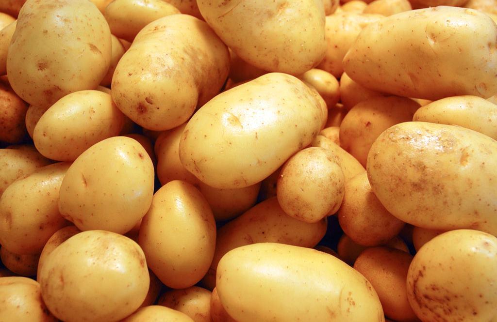 Come cucinare le patate - Ricette con le patate facili e veloci