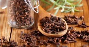 Chiodi di garofano - proprietà curative e terapeutiche, benefici per la salute e controindicazioni