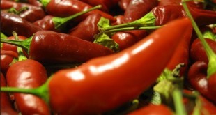 Peperoncino piccante - proprietà, benefici, uso, rimedi naturali e controindicazioni