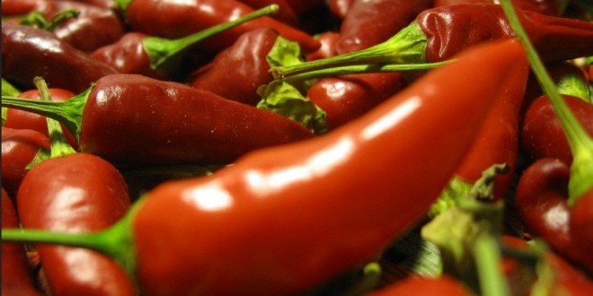 Peperoncino Piccante Proprietà Benefici Utilizzo E