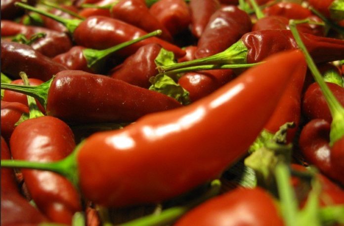 Peperoncino piccante - proprietà, benefici, uso, rimedi naturali e controindicazioni Peperoncino piccante - proprietà, benefici, uso, rimedi naturali e controindicazioni