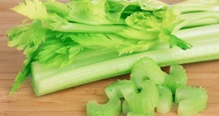 Sedano: proprietà, benefici, utilizzi e controindicazioni. Scopri le proprietà del sedano, i benefici per la salute, i valori nutrizionali, le calorie, perché mangiare sedano fa bene all'organismo e tutti gli impieghi in cucina e in fitoterapia.
