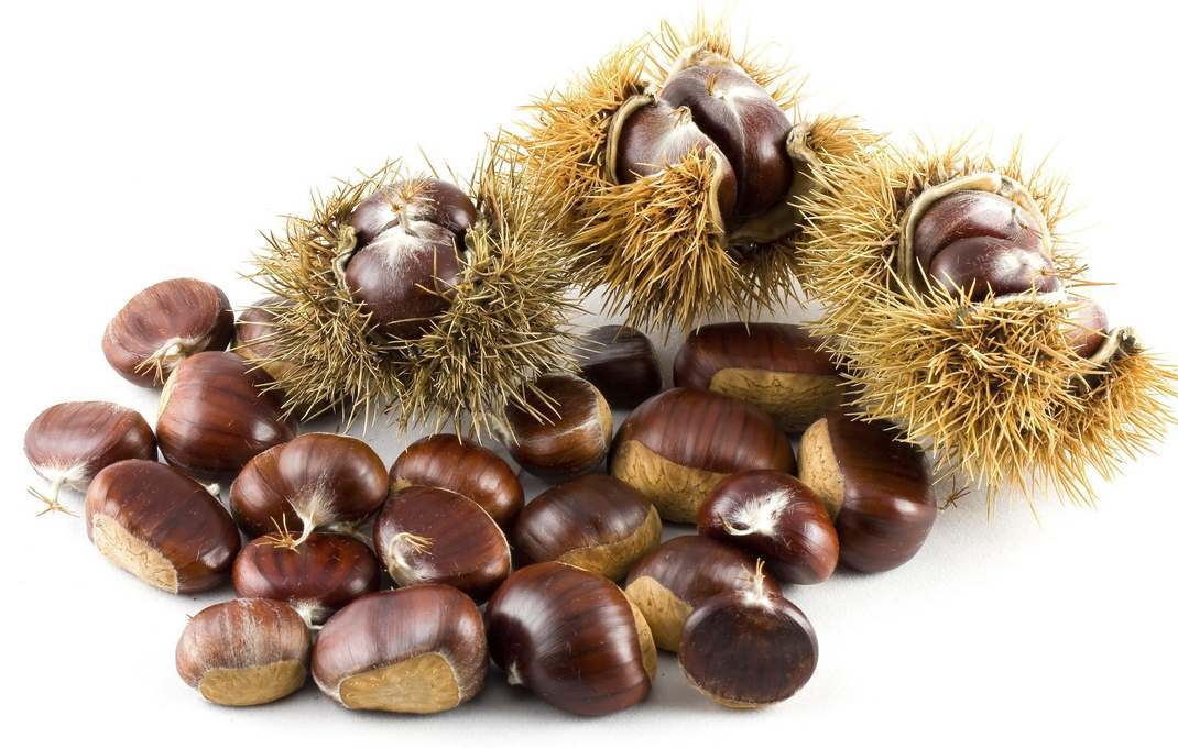 Castagne - proprietà e benefici per la salute. Scopri le proprietà delle castagne, tutti gli utilizzi, i valori nutrizionali e le controindicazioni.