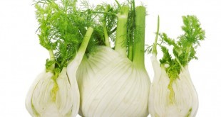 Finocchio: proprietà, benefici, utilizzi e controindicazioni. Scopri le proprietà del finocchio, i benefici per la salute, tutti gli utilizzi in cucina e come rimedio naturale, come fare la tisana al finocchio, le controindicazioni e gli effetti collaterali.