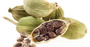 Cardamomo: proprietà, benefici e controindicazioni. Scopri le proprietà del cardamomo, i benefici per la salute, tutti gli utilizzi in cucina e come rimedio naturale, le controindicazioni e gli effetti collaterali.