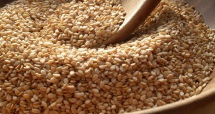 sesamo - proprietà, benefici, controindicazioni, effetti collaterali