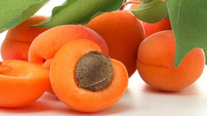 Albicocche: proprietà, benefici, valori nutrizionali, calorie e controindicazioni Albicocche: proprietà, benefici, valori nutrizionali, calorie e controindicazioni