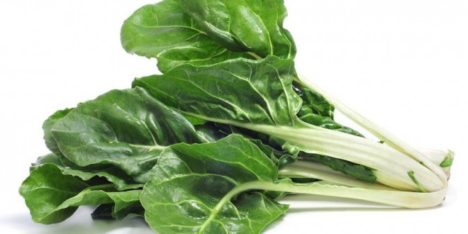 ricette con bietola per perdere peso