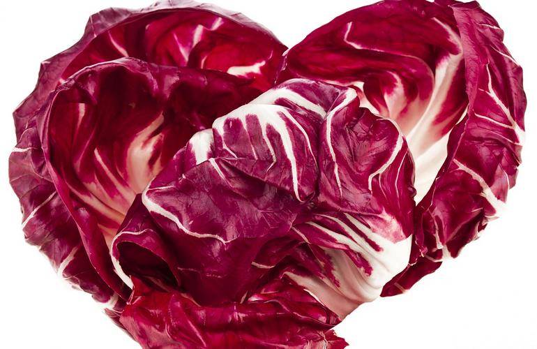 Radicchio: proprietà, benefici, valori nutrizionali, calorie, utilizzi e controindicazioni