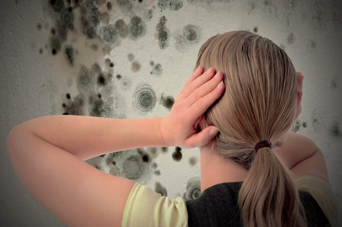 Come eliminare la muffa dai muri definitivamente in modo naturale Disinfettare vestiti dai funghi
