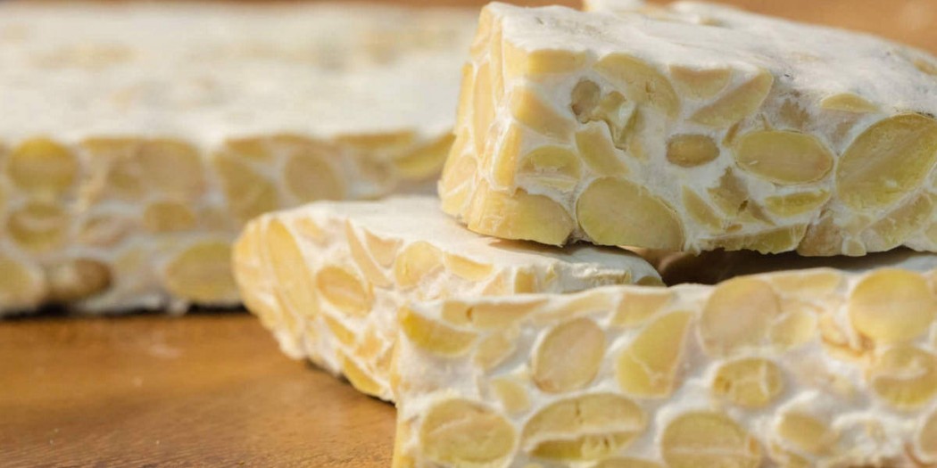 Tempeh proprietà, benefici, valori nutrizionali, calorie, utilizzi e controindicazioni