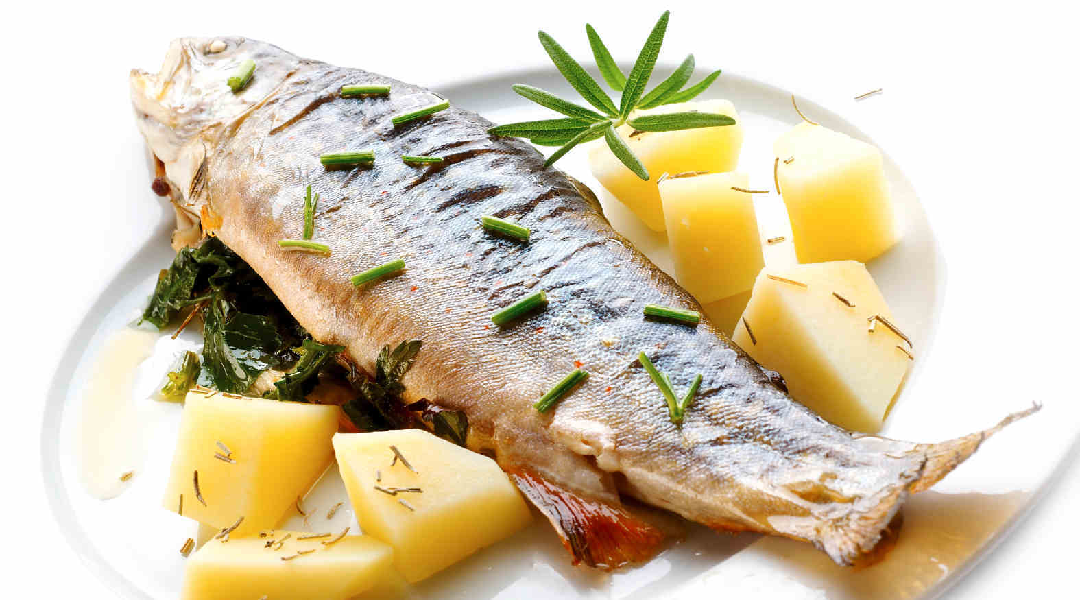 come cucinare il branzino - ricette con il branzino facili e veloci