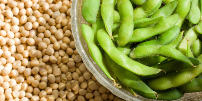 Come cucinare la soia - Ricette con la soia facili e veloci