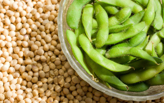 Come cucinare la soia - Ricette con la soia facili e veloci Come cucinare la soia - Ricette con la soia facili e veloci