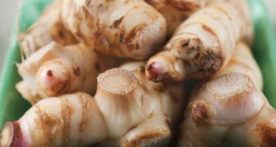 Galanga - proprietà, benefici, rimedi naturali e controindicazioni. Scopri le proprietà della galanga, i benefici per la salute, gli utilizzi in cucina come spezia o come rimedio naturale contro diversi disturbi, le controindicazioni e gli effetti collaterali.