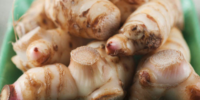 Galanga - proprietà, benefici, rimedi naturali e controindicazioni. Scopri le proprietà della galanga, i benefici per la salute, gli utilizzi in cucina come spezia o come rimedio naturale contro diversi disturbi, le controindicazioni e gli effetti collaterali.