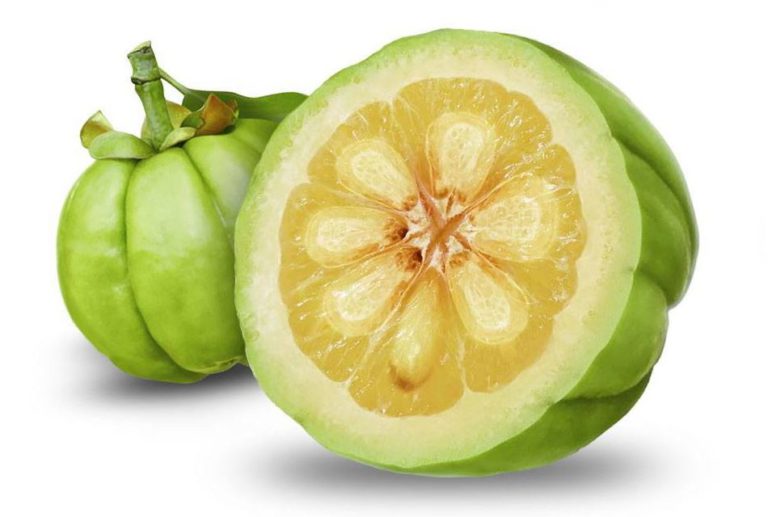 garcinia cambogia - proprietà dimagranti benefici controindicazioni ed effetti collaterali