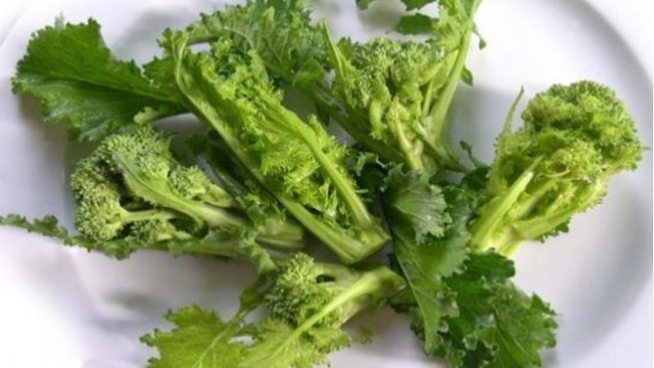 Cime Di Rapa Proprietà Benefici Uso E Controindicazioni