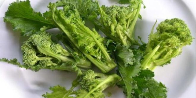 Cime Di Rapa Proprieta Benefici Uso E Controindicazioni