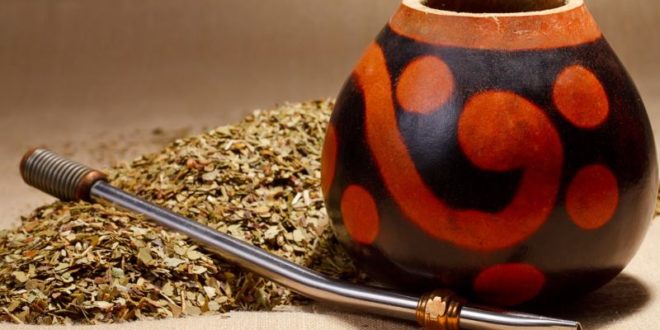 Yerba Mate proprietà benefici come si prepara e controindicazioni