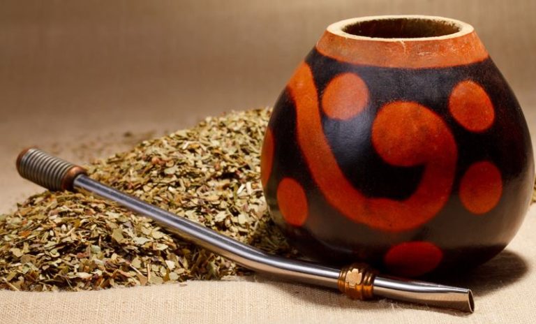 Yerba Mate proprietà benefici come si prepara e controindicazioni