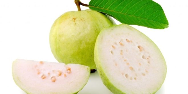 guava proprietà benefici uso controindicazioni effetti collaterali