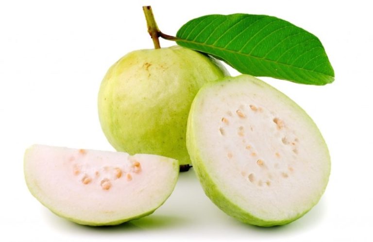 guava proprietà benefici uso controindicazioni effetti collaterali