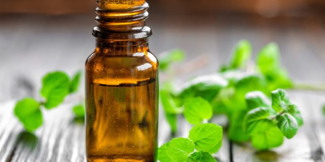 Olio 31: proprietà, benefici, a cosa serve, usi, controindicazioni e