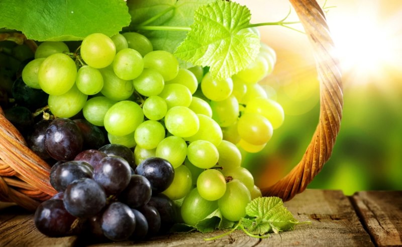 uva proprietà benefici uso rimedi naturali controindicazioni uva