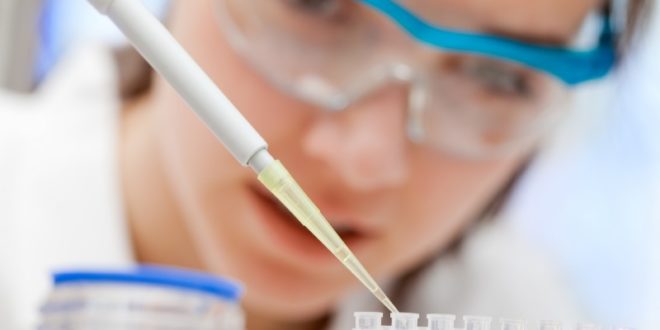 Piastrine alte e Piastrine basse: cause, sintomi, valori normali, alimentazione e rimedi naturali