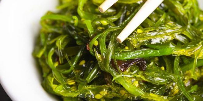 Alghe commestibili proprietà benefici usi in cucina controindicazioni