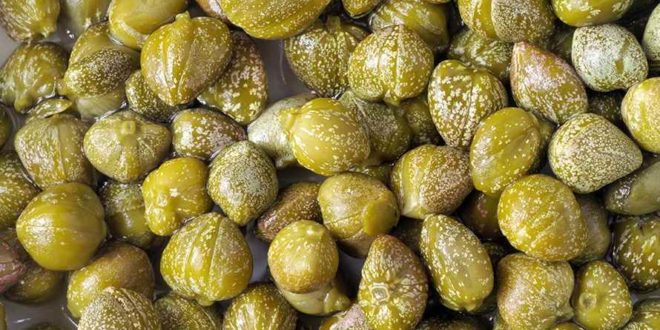 Capperi proprietà benefici usi e controindicazioni.