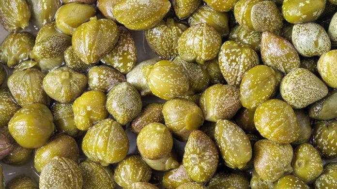 Capperi proprietà benefici usi e controindicazioni. Capperi proprietà benefici usi e controindicazioni.