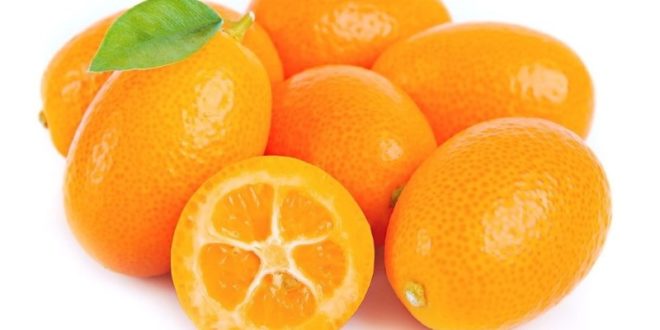 Kumquat mandarino cinese proprietà benefici uso e controindicazioni.