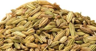 Anice: proprietà, benefici, uso, rimedi e controindicazioni. Scopri le proprietà dell'anice, i benefici per la salute, gli usi in cucina o come rimedio naturale, come preparare la tisana di semi di anice, le controindicazioni e gli effetti collaterali.