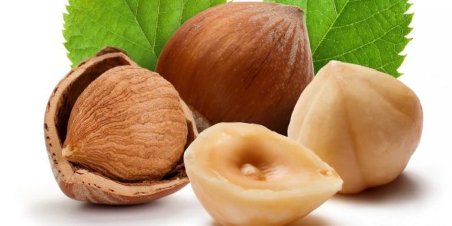 Nocciole: proprietà, benefici, valori nutrizionali, calorie, uso e controindicazioni. Scopri le proprietà delle nocciole, i benefici per la salute, gli usi in cucina o come rimedio naturale, le controindicazioni e gli effetti collaterali.